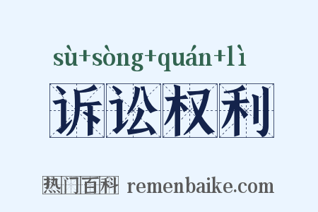 诉讼权利是什么意思的图片